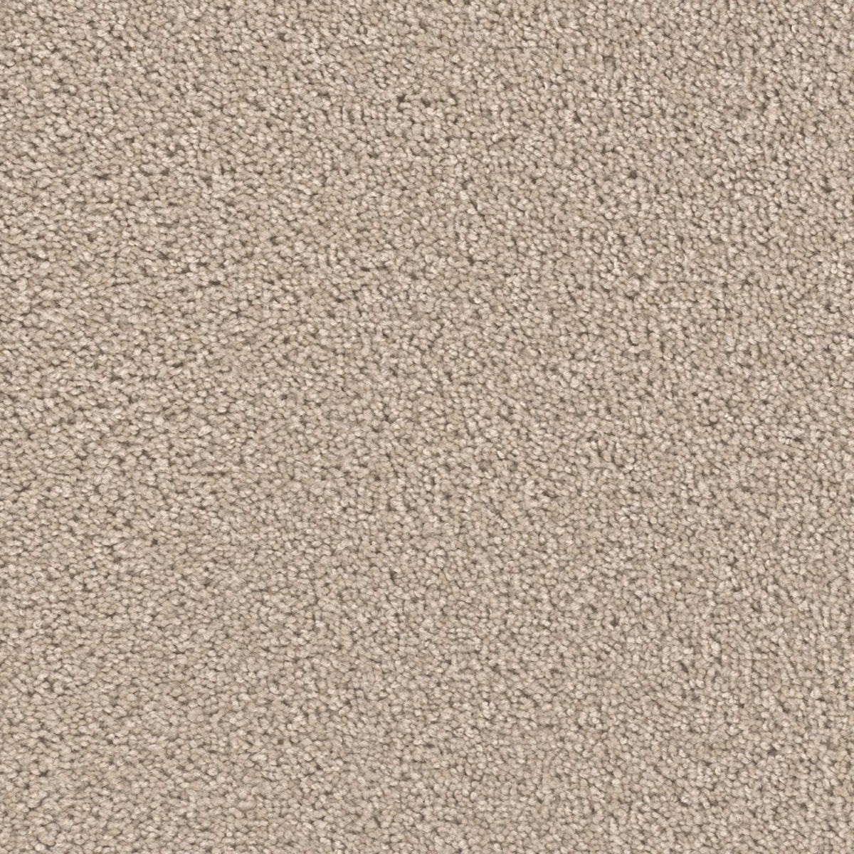 Groundwork Plus in Flax Beige Carpet