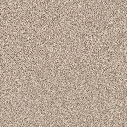 Groundwork Plus in Flax Beige Carpet