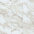 Alterna Rossini Marble in Gray Mist 12" X 24" Luxury Vinyl
