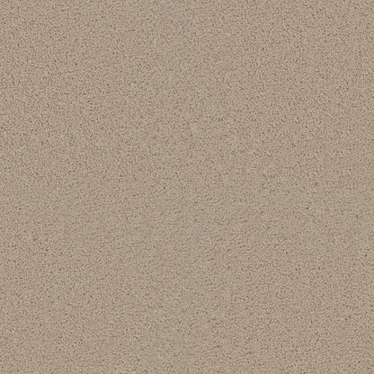 EXCEPTIONAL II in Eggshell Carpet