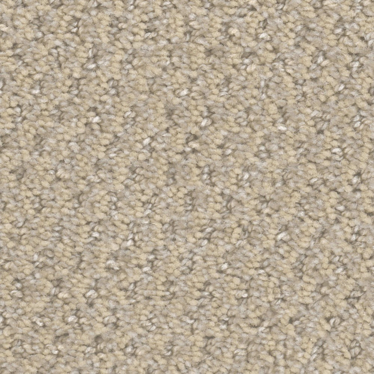Bethpage in Crystal Canyon Carpet