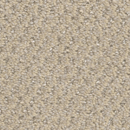 Bethpage in Crystal Canyon Carpet
