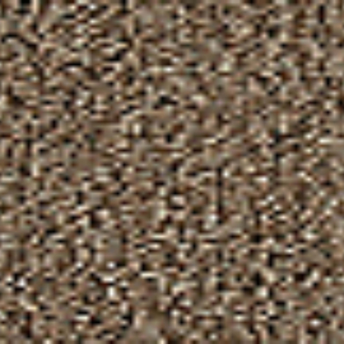 Front & Center in Praline Carpet