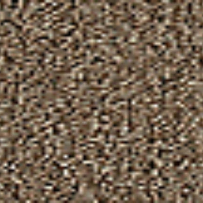 Front & Center in Praline Carpet