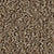 Front & Center in Praline Carpet
