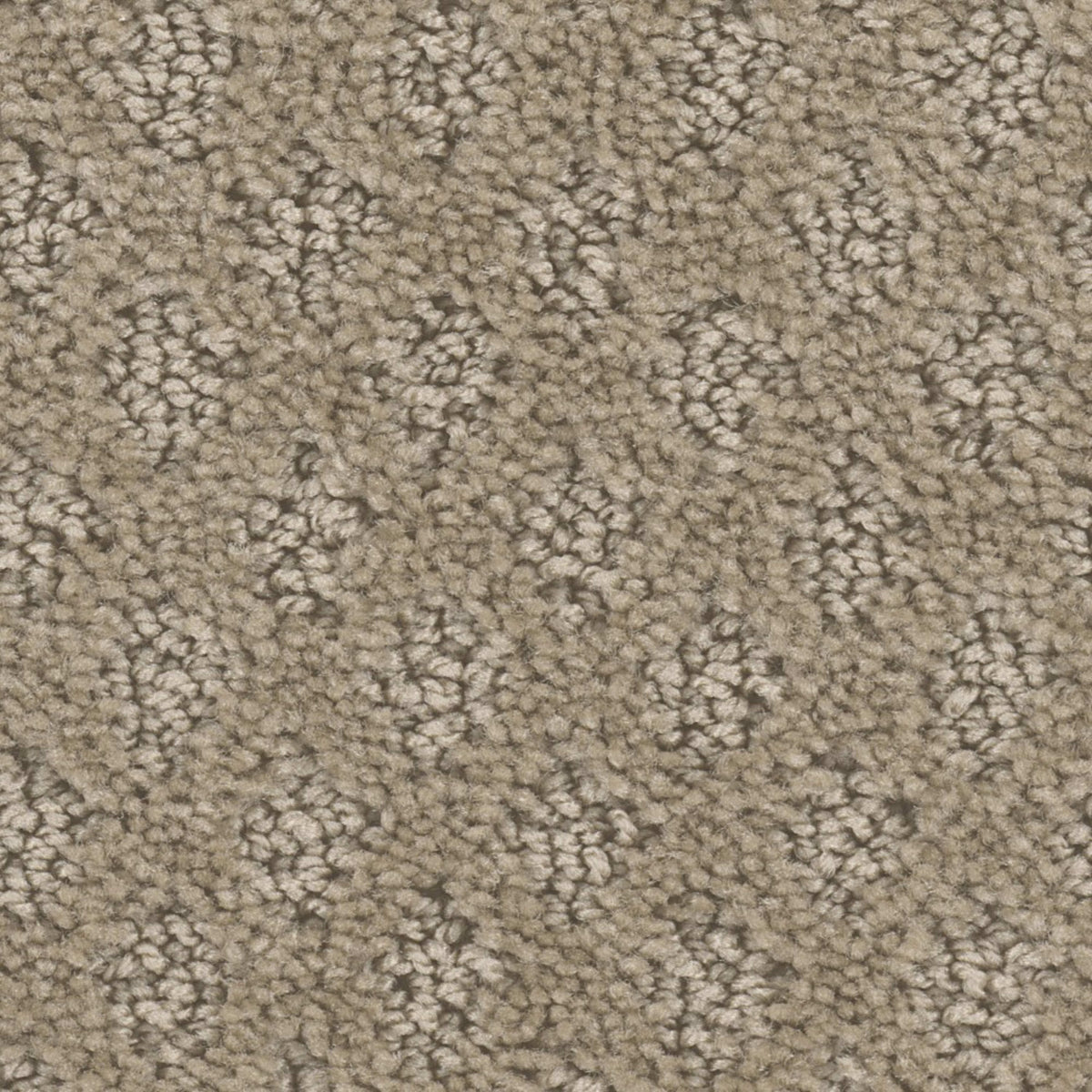 Harding Park in Parchment Carpet