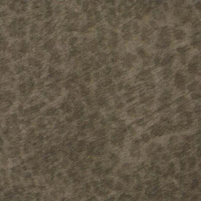Flotex - Cleo in Kitten Vinyl Sheet Goods