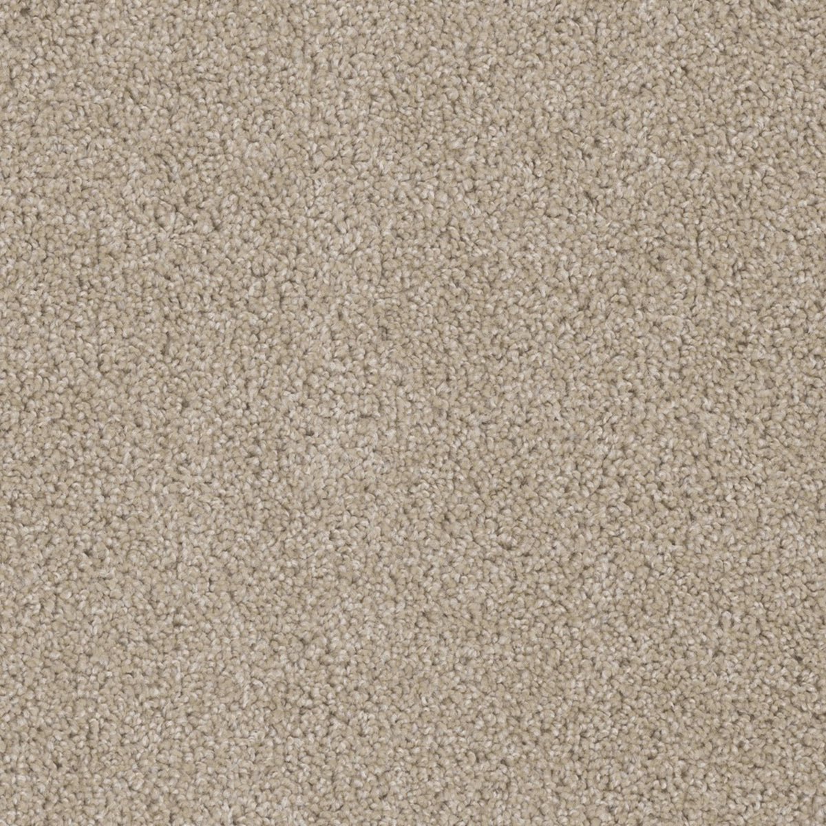 Ashton Hills in Cashmere Carpet