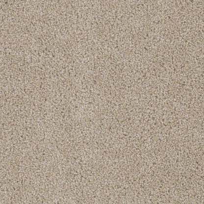 Ashton Hills in Cashmere Carpet