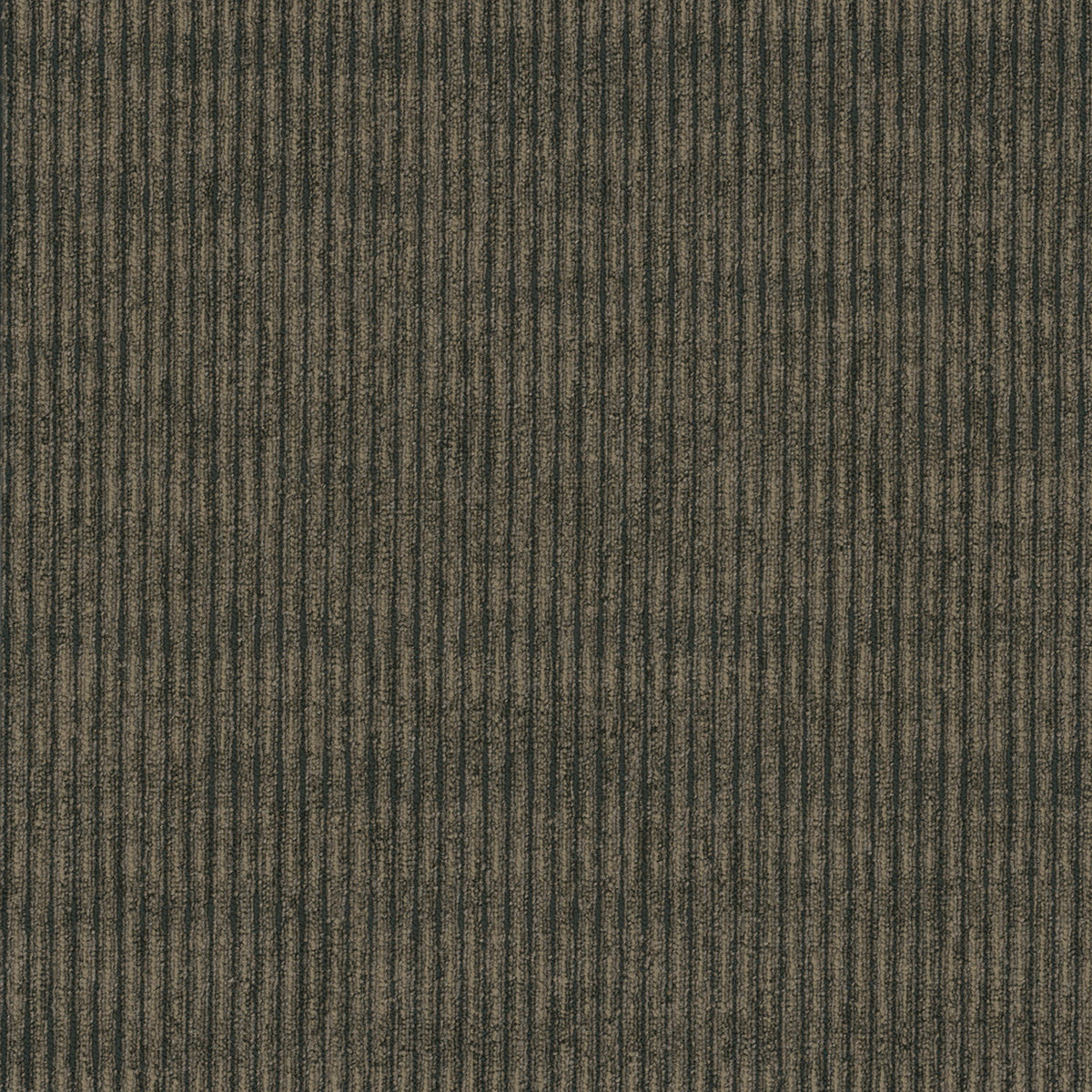 Sidewinder Tile
