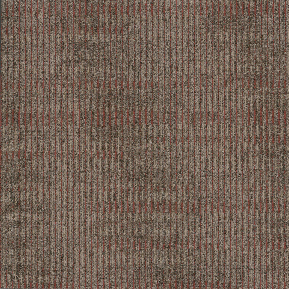 Sidewinder Tile