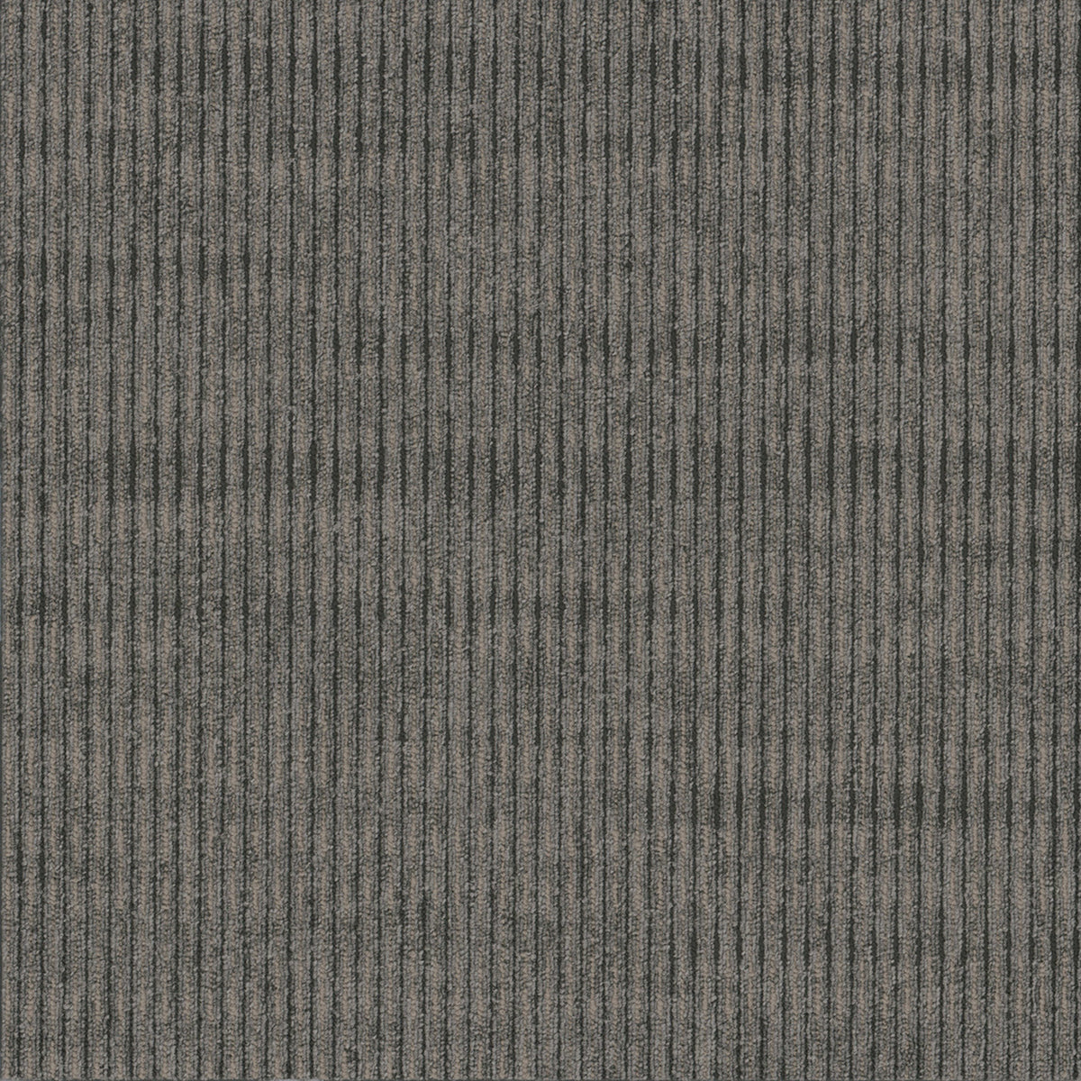 Sidewinder Tile