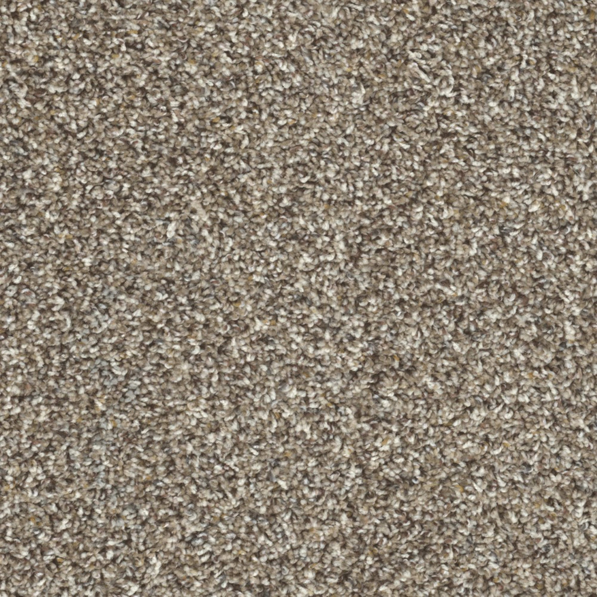 First Class in Marble Heights Carpet