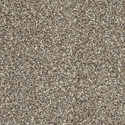 First Class in Marble Heights Carpet