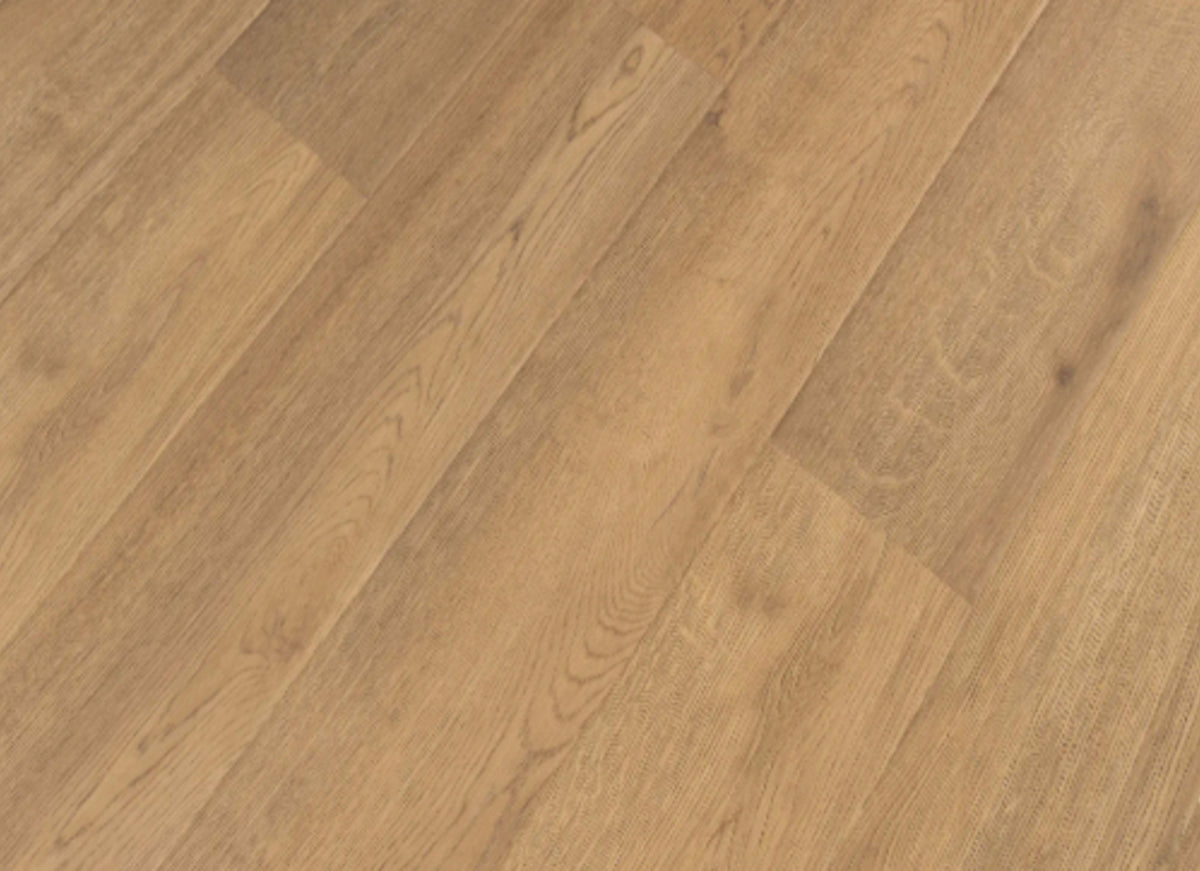 Laguna Collection in Aliso Almond