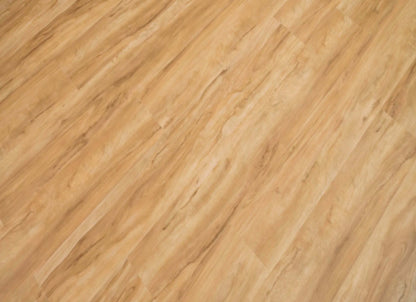 Classic Collection in Blonde Ale
