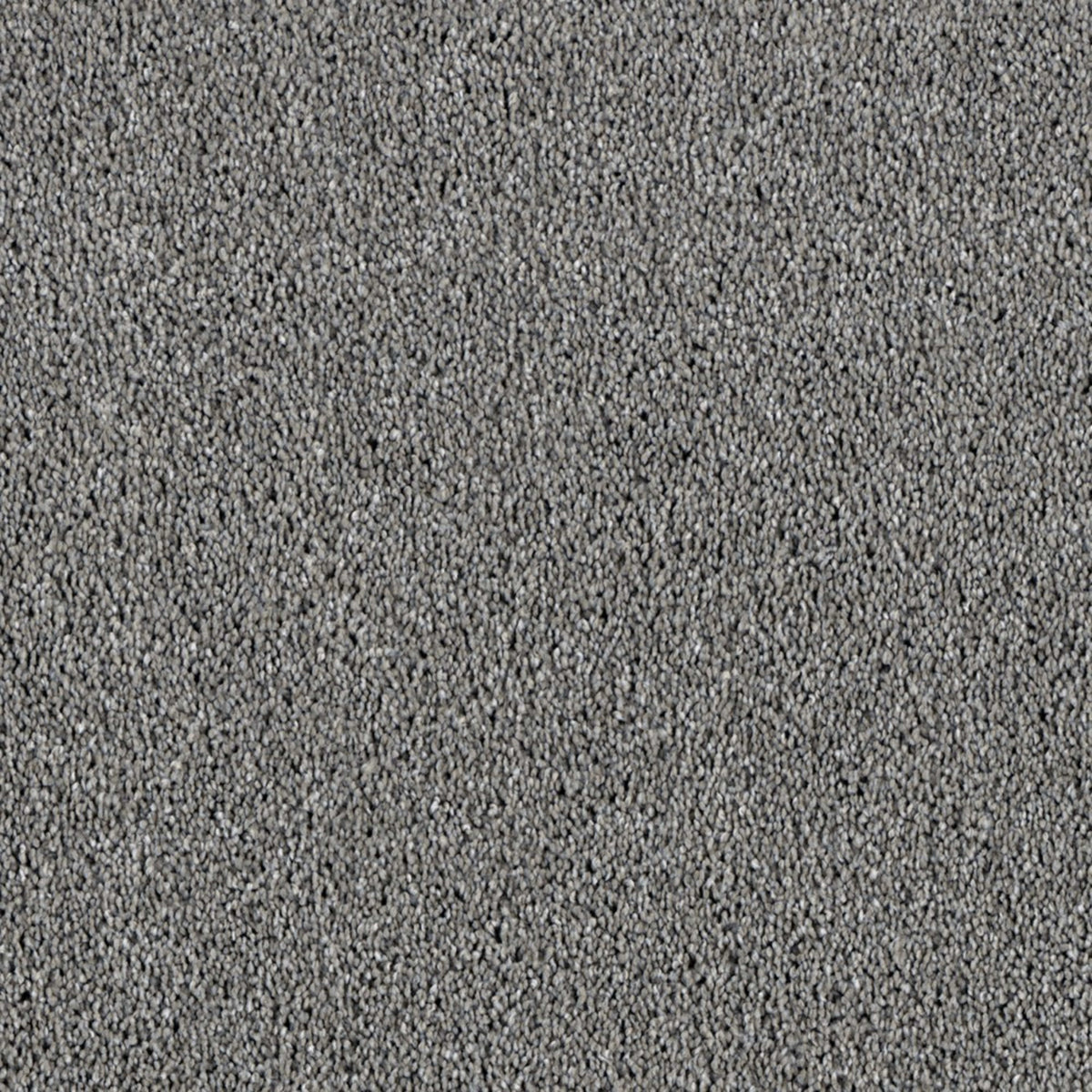 All Star in Chrome Carpet