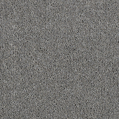 All Star in Chrome Carpet