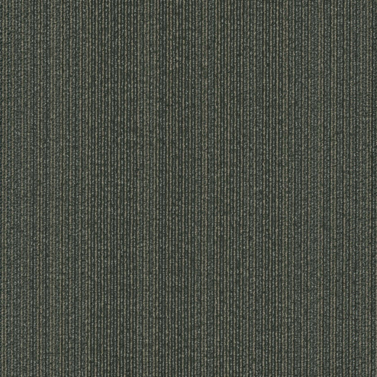 Algorithm