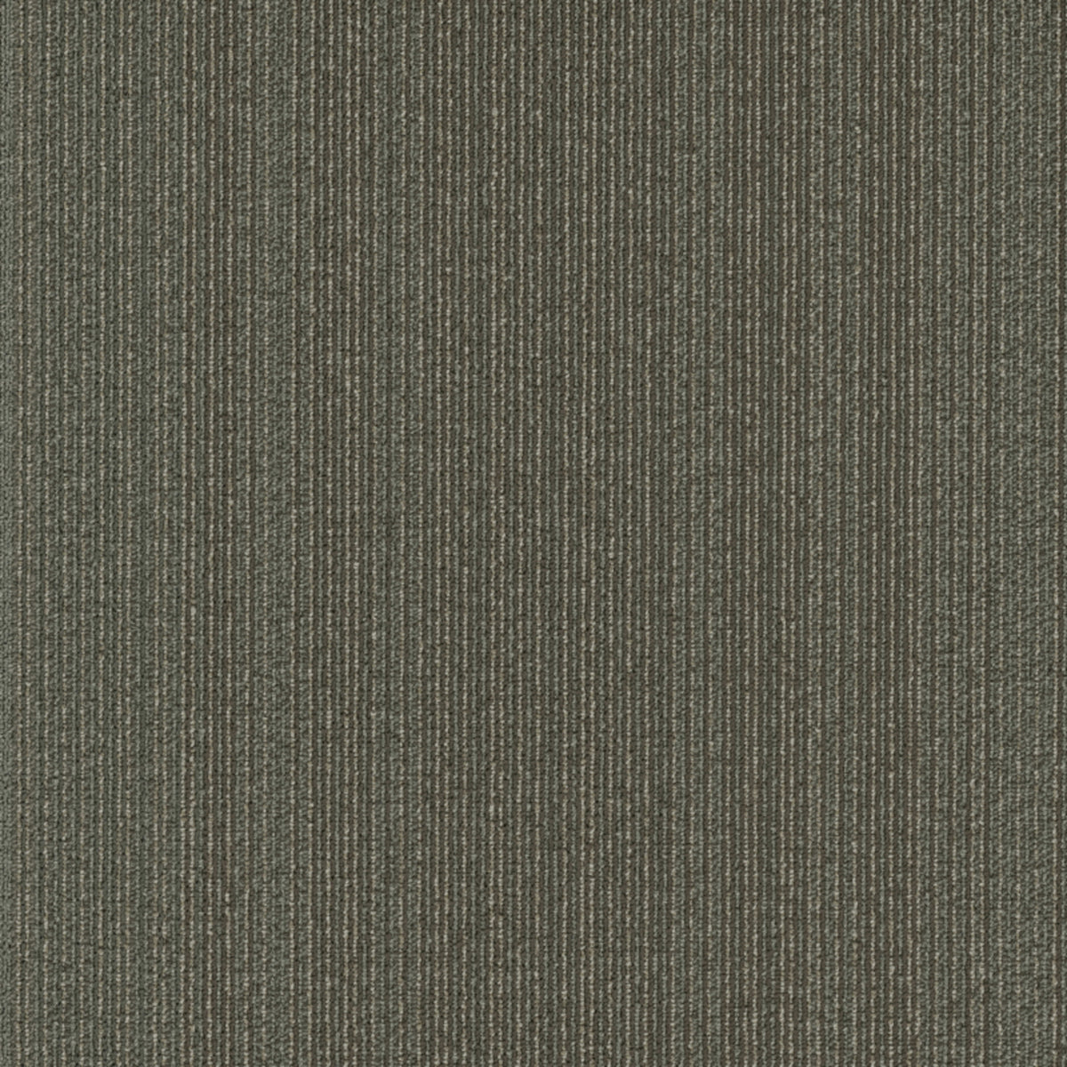 Algorithm