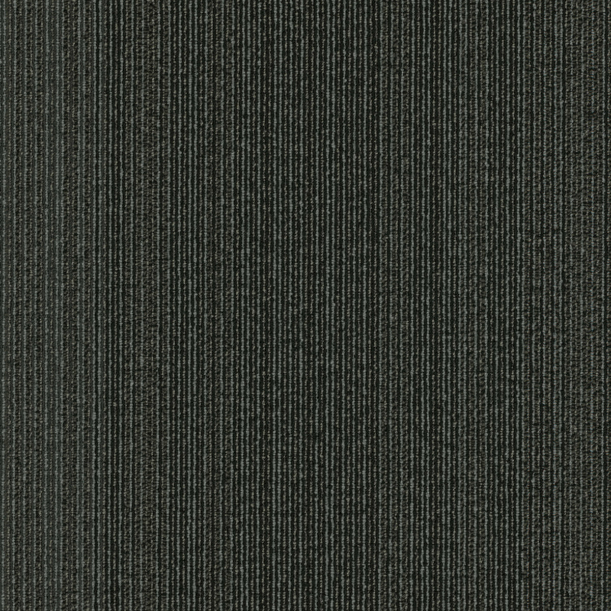 Algorithm