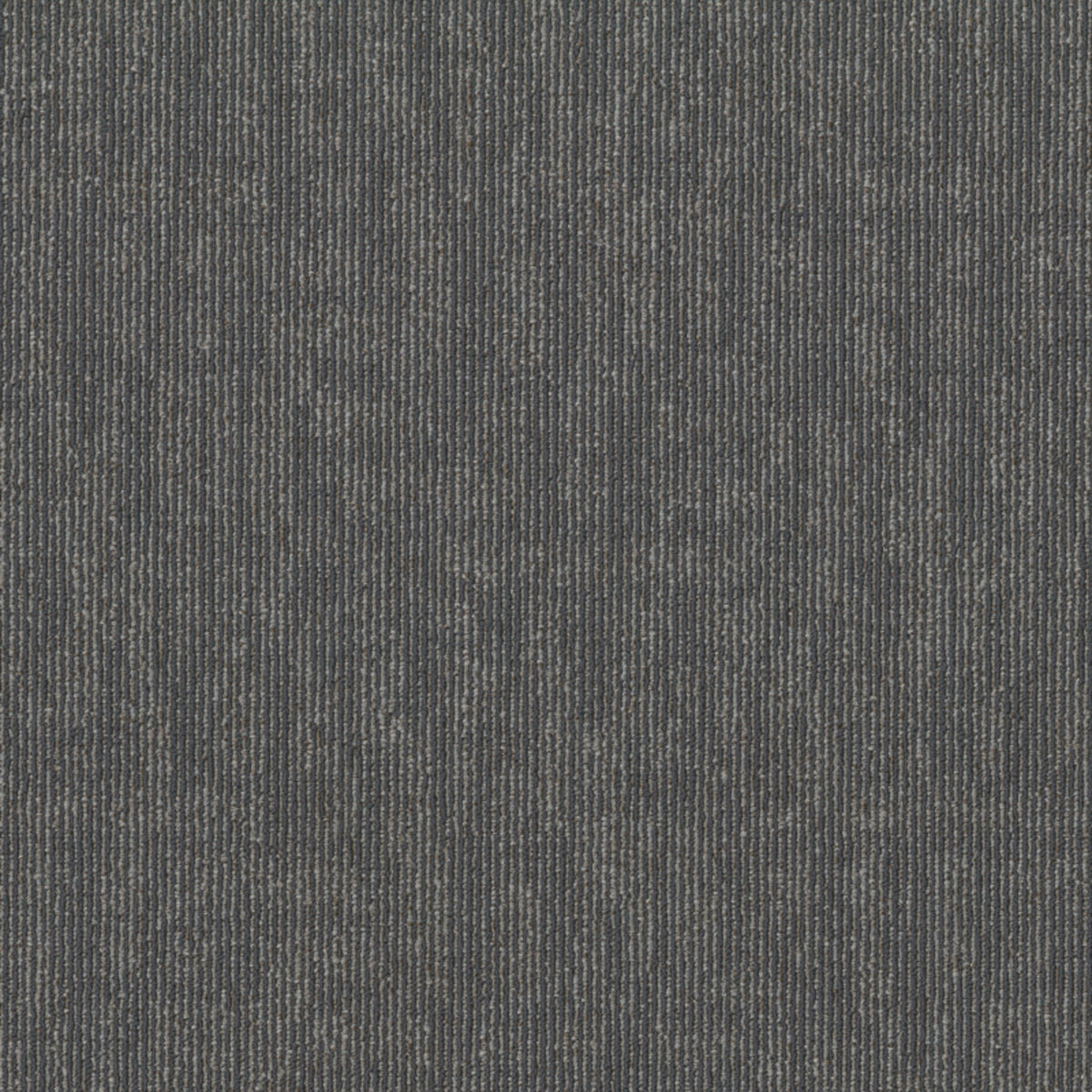 Integral in Essential Carpet