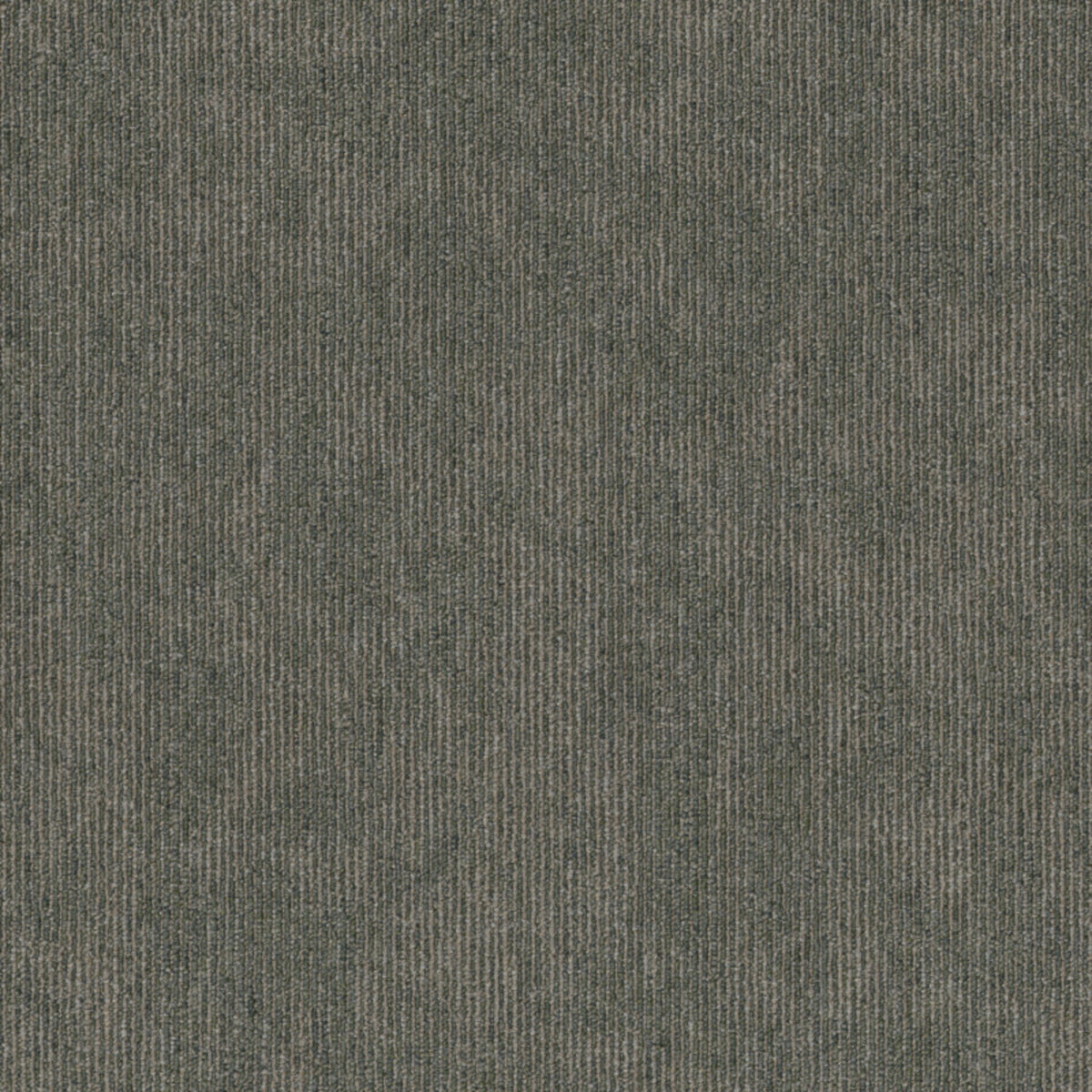 Reciprocal in Collective Carpet