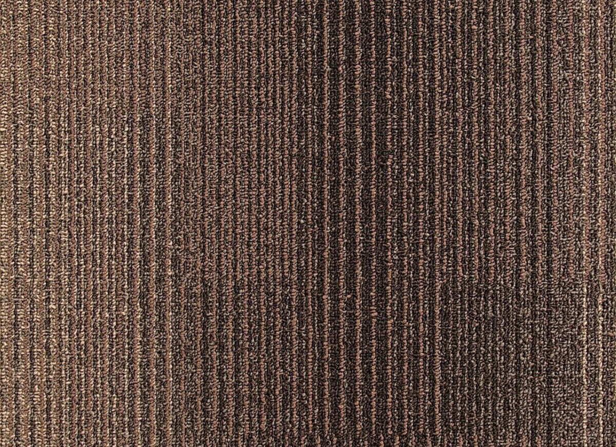 Development