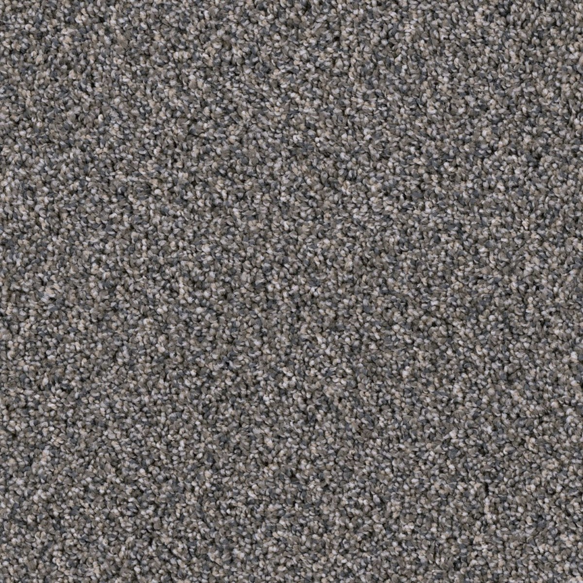Missionary Ridge in Iron Sands Carpet