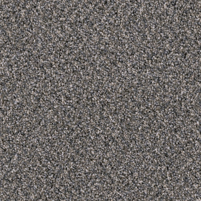 Missionary Ridge in Iron Sands Carpet