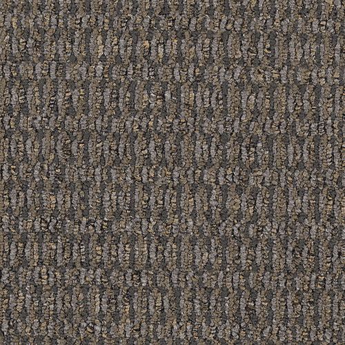 Contemplate in Assume Carpet