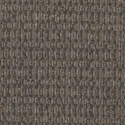 Contemplate in Assume Carpet