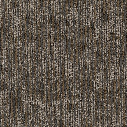 Surface Purpose in Vivid Vision Carpet