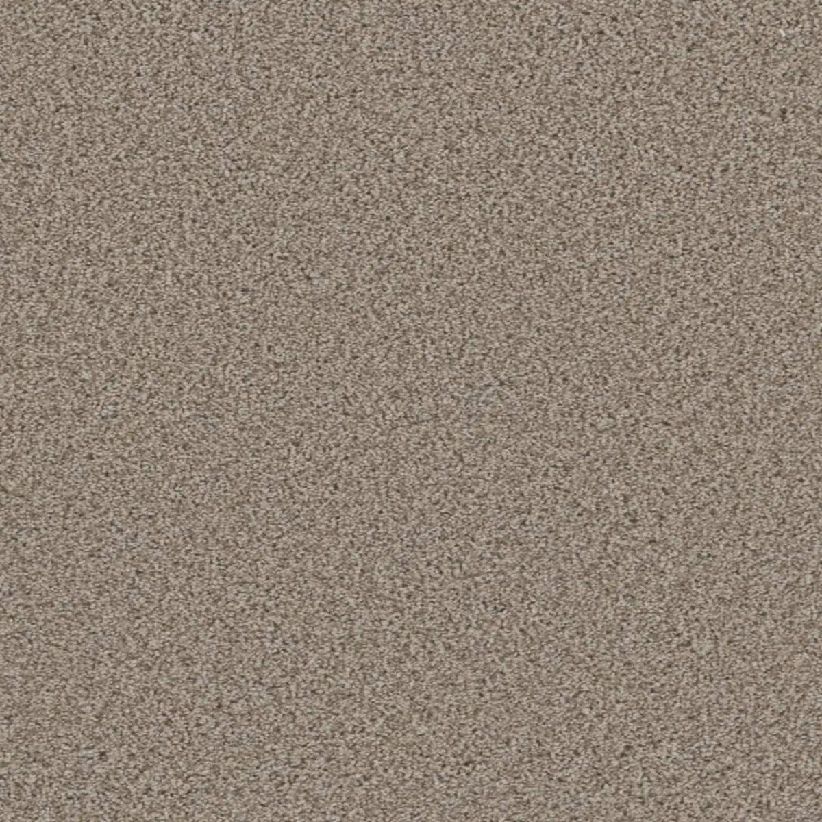 METROPOLITAN II in Stucco Carpet