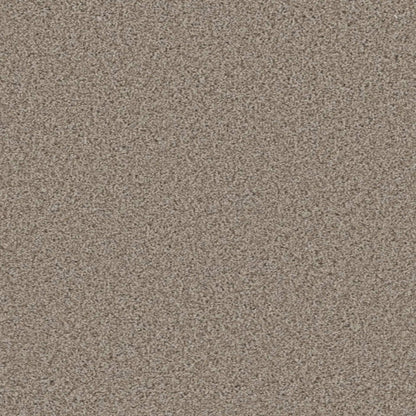 METROPOLITAN II in Stucco Carpet