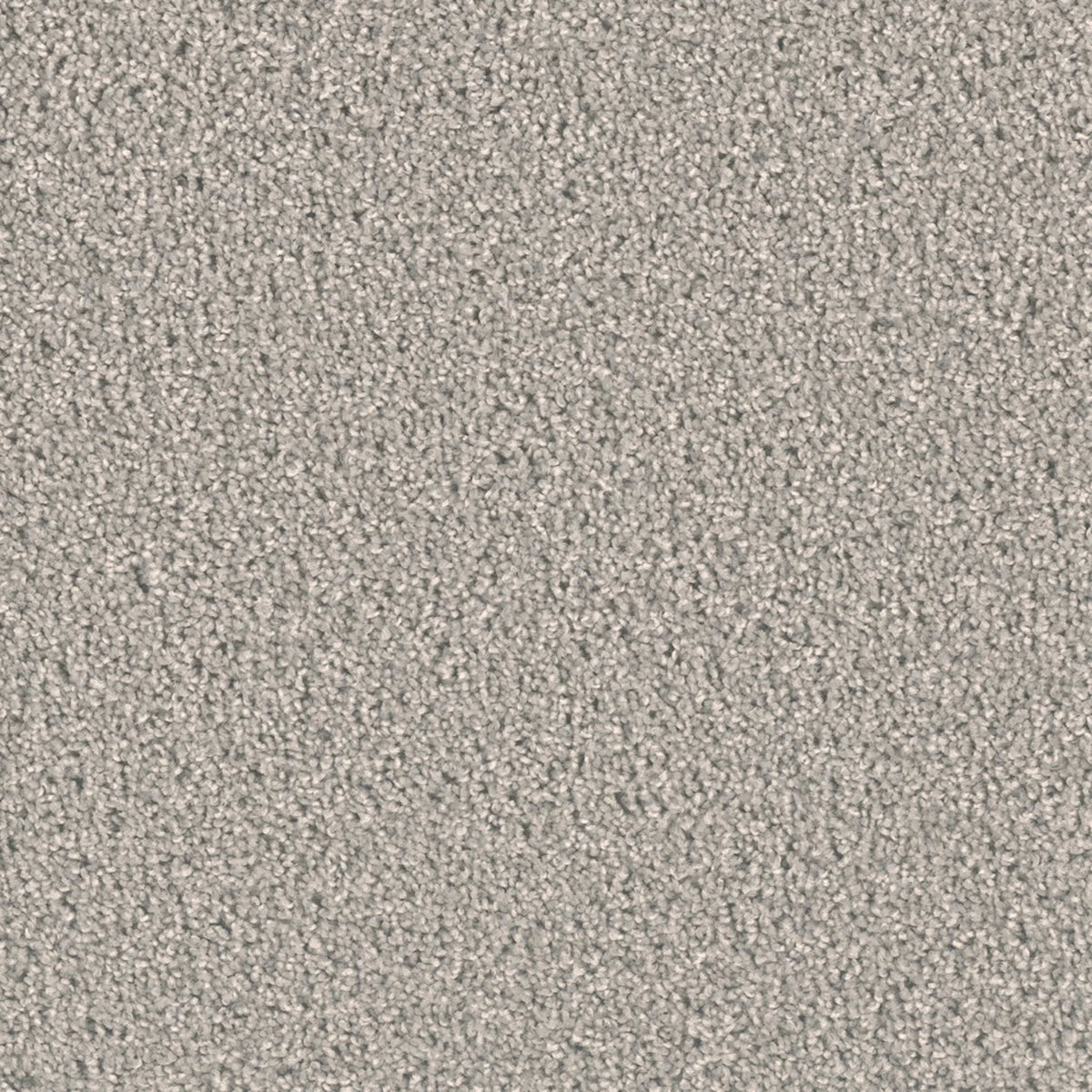 Opulent II in Silver Birch Carpet