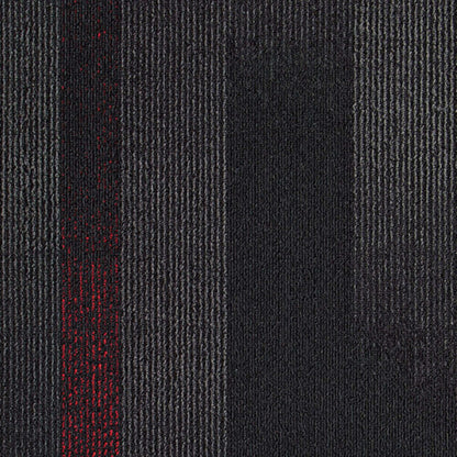 Continuum