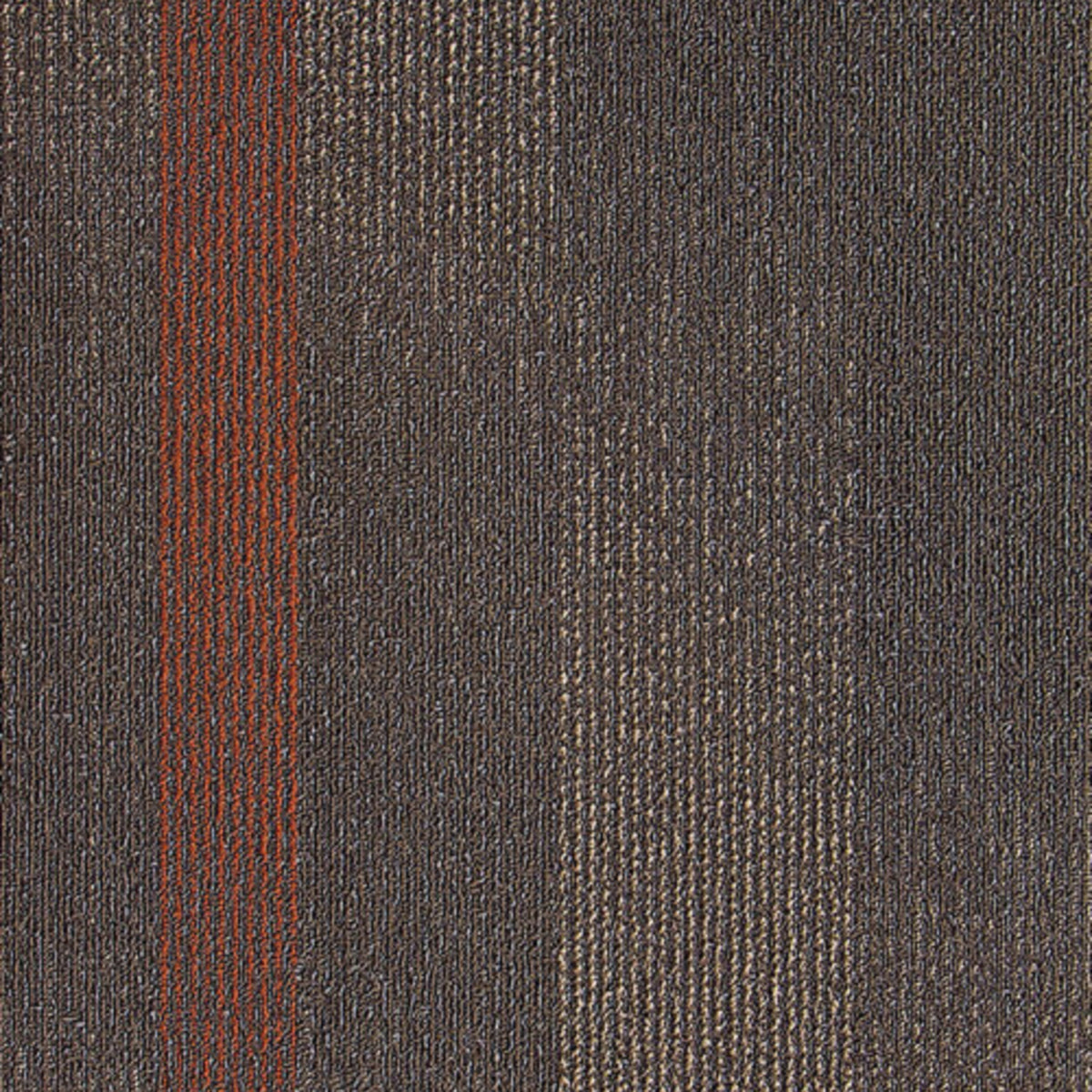 Carpet Tile | Next Floor