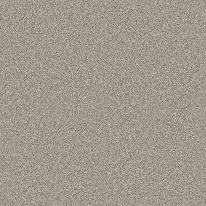 COSMOPOLITAN II