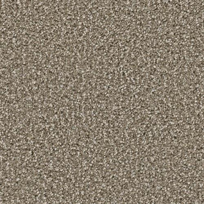 COSMOPOLITAN II in Wynwood Carpet