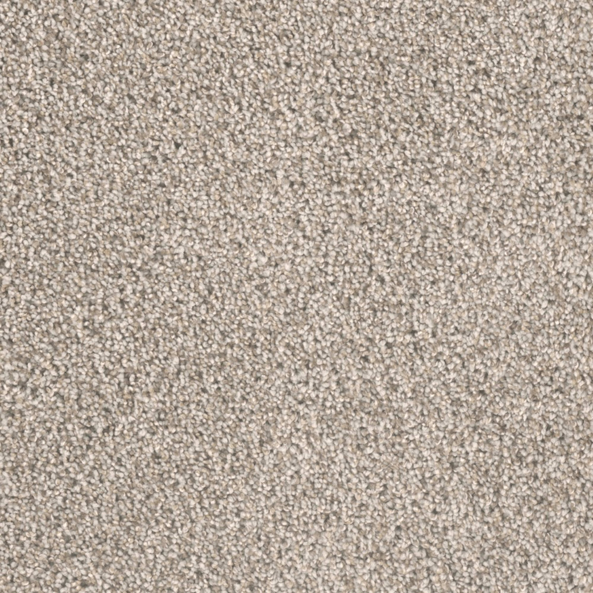 City Lights II in Stucco Carpet