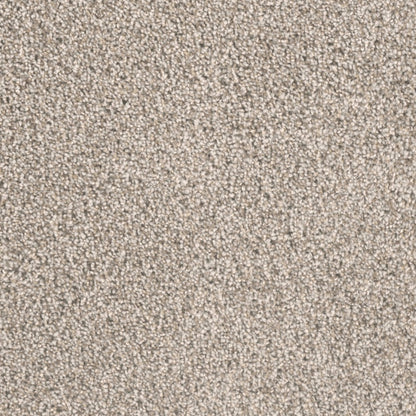 City Lights II in Stucco Carpet