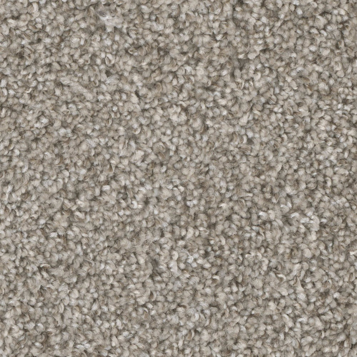 Mount Rainier II