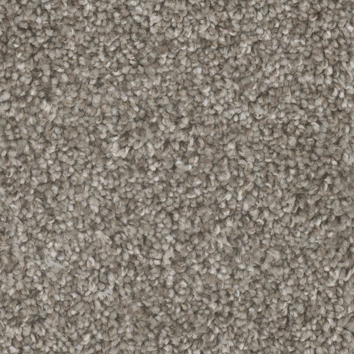 Mount Rainier II in Cedar Way Carpet