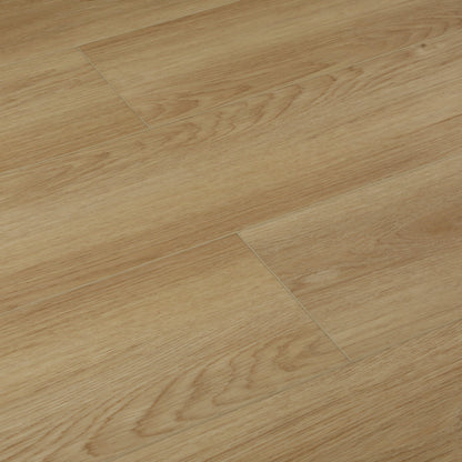 Coastal Series in Laguna Luxury Vinyl
