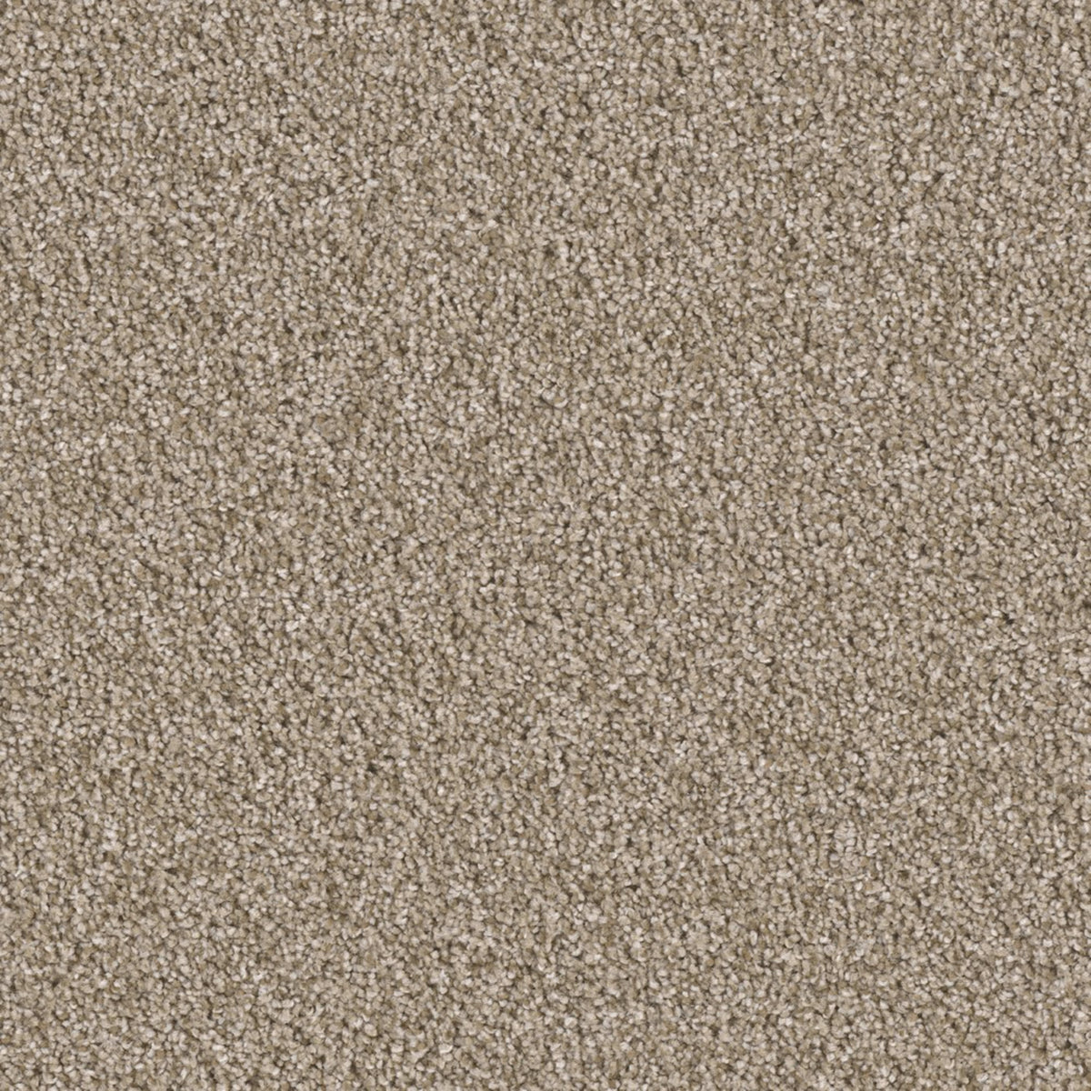 Colonial Plus