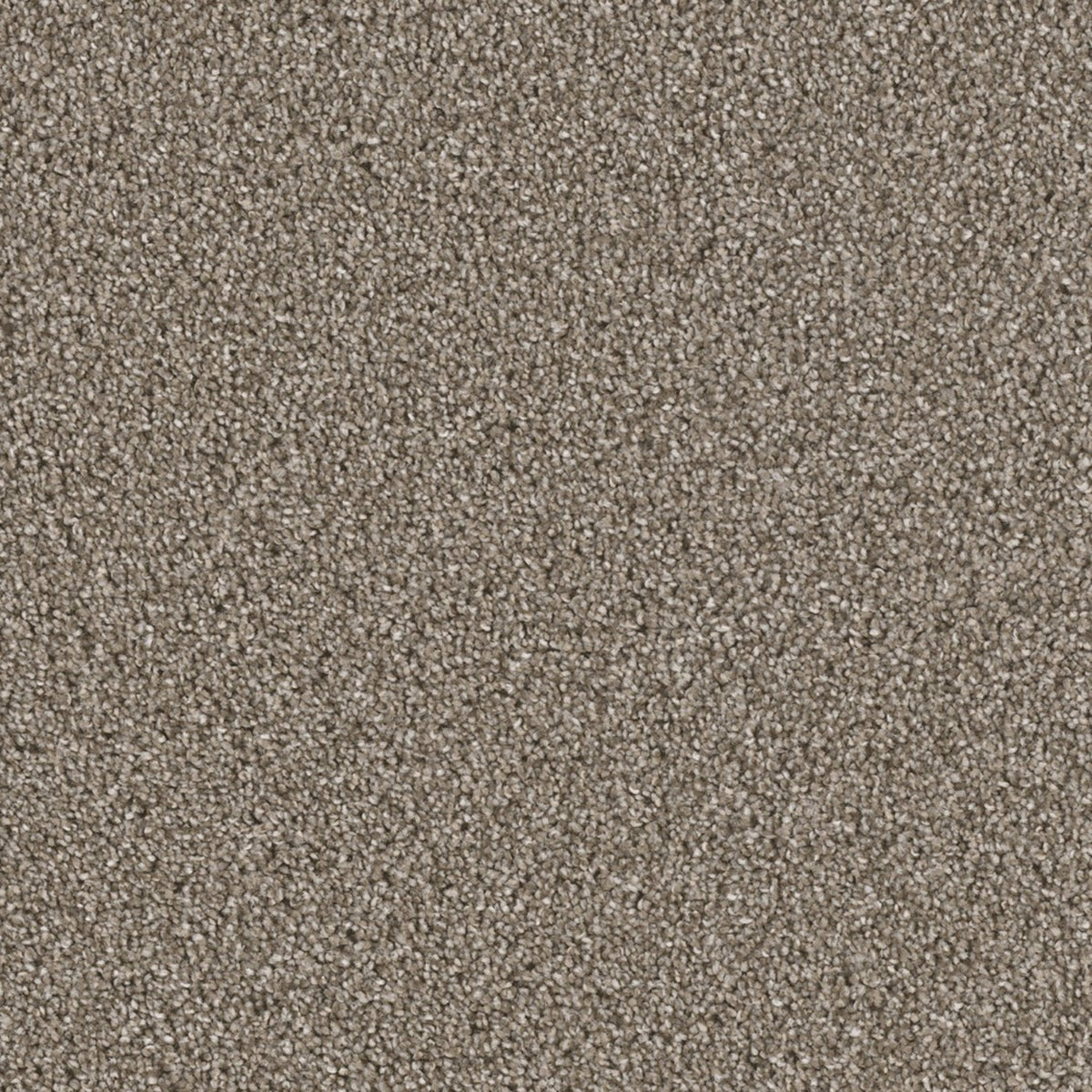 Colonial Plus