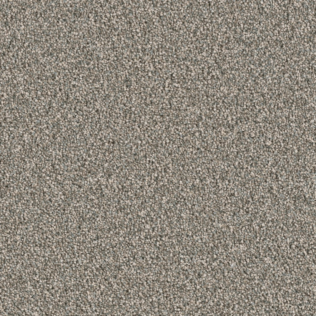 Colonial Plus in Taupestone Carpet