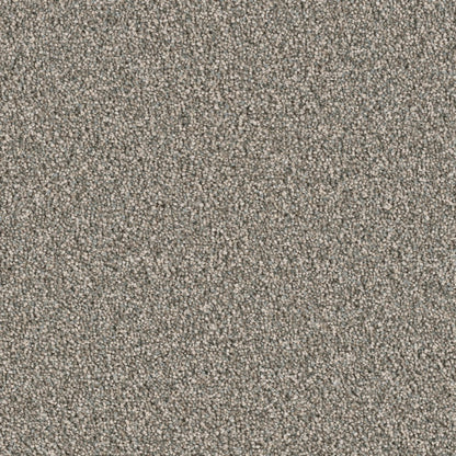 Colonial Plus in Taupestone Carpet