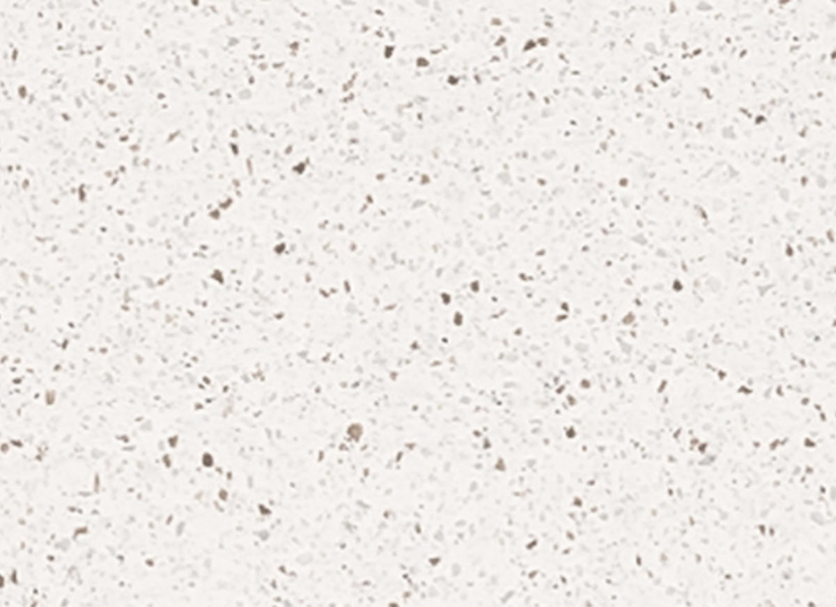 Solid Surface Collection in Avalanche Melange